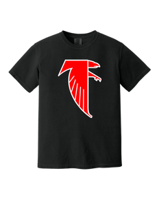 Falcons - Georgia Dome T
