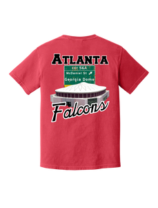 Falcons - Georgia Dome T