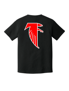 Falcons - Script T